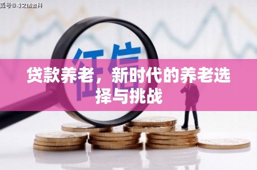雁塔贷款养老，新时代的养老选择与挑战