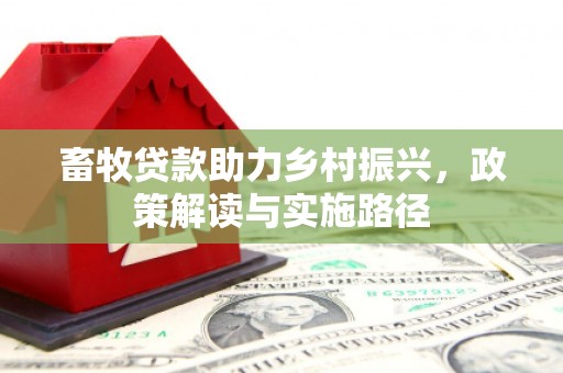 宝应畜牧贷款助力乡村振兴，政策解读与实施路径