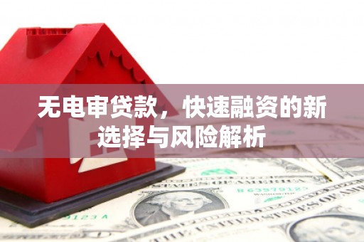 武川无电审贷款，快速融资的新选择与风险解析