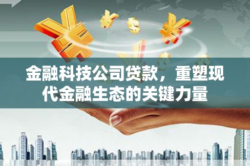 徐闻金融科技公司贷款，重塑现代金融生态的关键力量