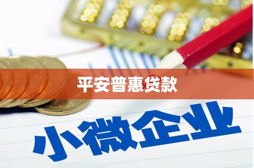 永定平安普惠贷款