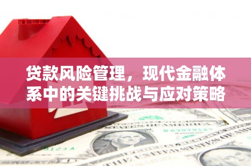 武川贷款风险管理，现代金融体系中的关键挑战与应对策略