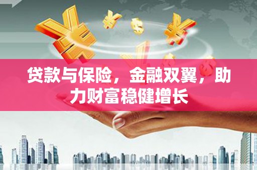 云阳贷款与保险，金融双翼，助力财富稳健增长