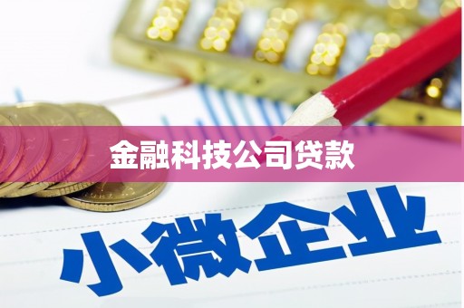 阜阳金融科技公司贷款