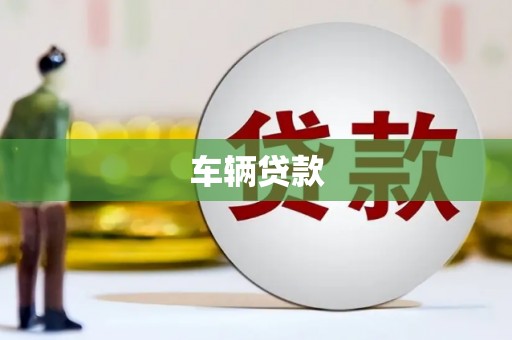 新蔡车辆贷款