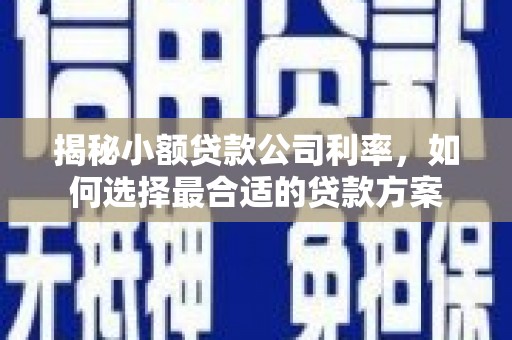 诸暨揭秘小额贷款公司利率，如何选择最合适的贷款方案
