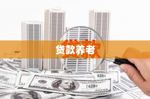 丰滨贷款养老