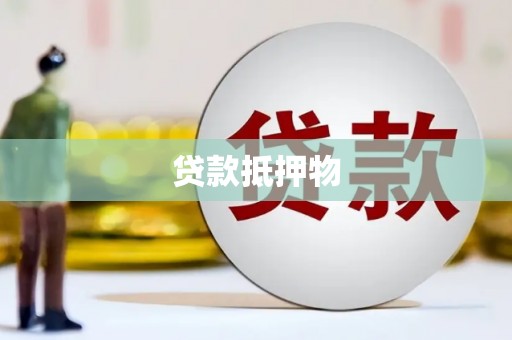 楠西贷款抵押物