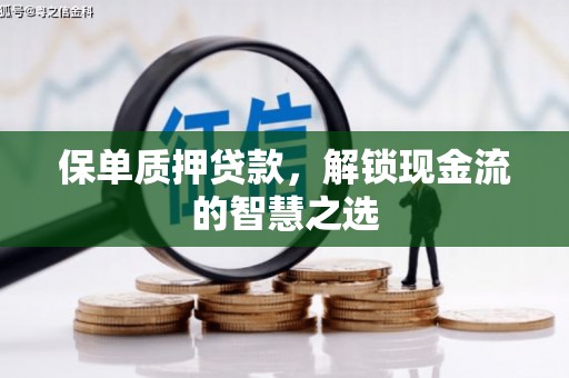 赤壁保单质押贷款，解锁现金流的智慧之选