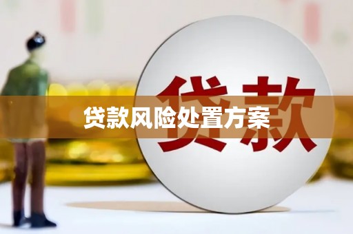 衢山贷款风险处置方案