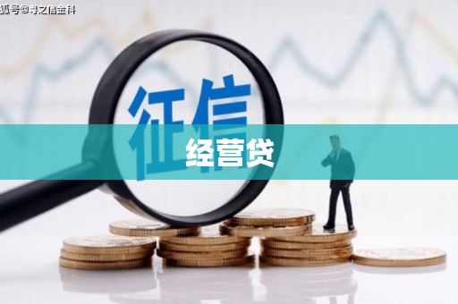 嘉模堂区经营贷
