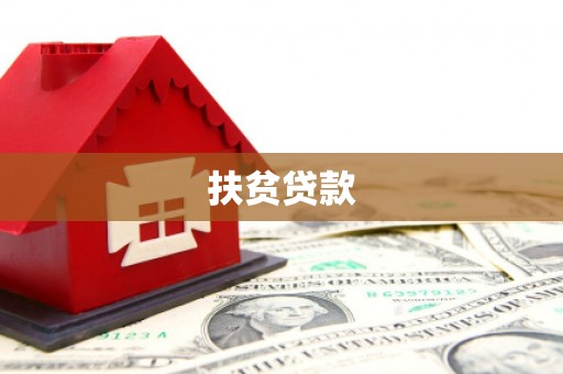 永康扶贫贷款