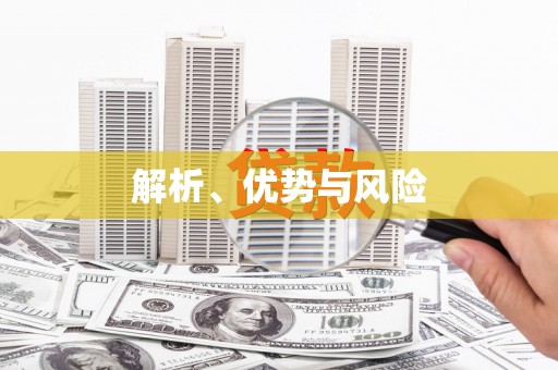 洪雅解析、优势与风险