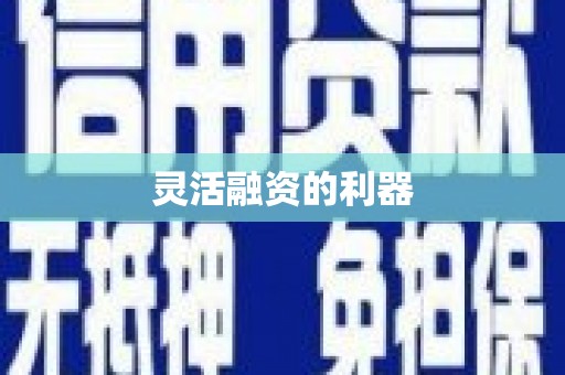 会宁灵活融资的利器