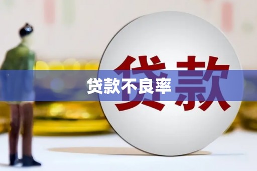 剑川贷款不良率